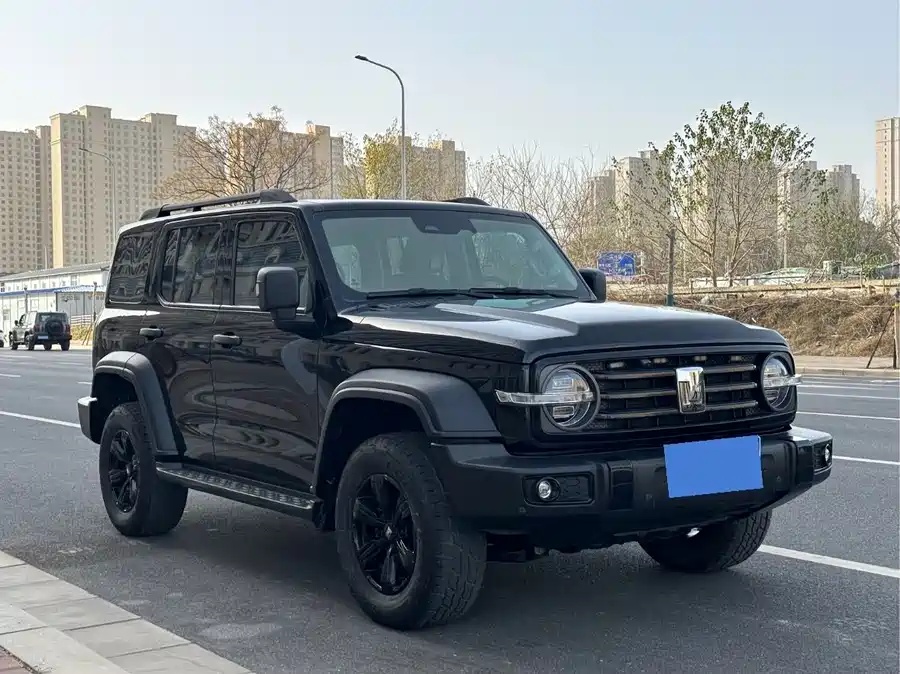 Representative dark green GWM Tank 300 front three-quarter view
